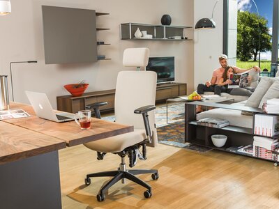 Living cu birou pentru Homeoffice