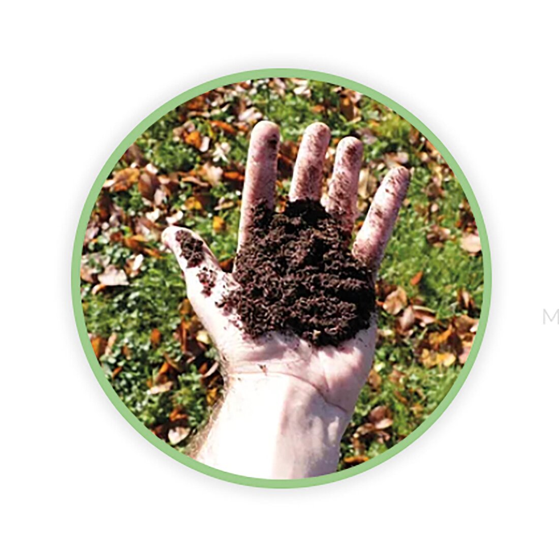 Ambalaj Bio-SamPak transformat in humus