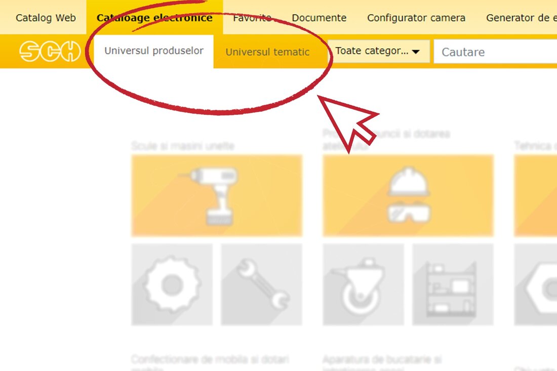 Cataloage electronice